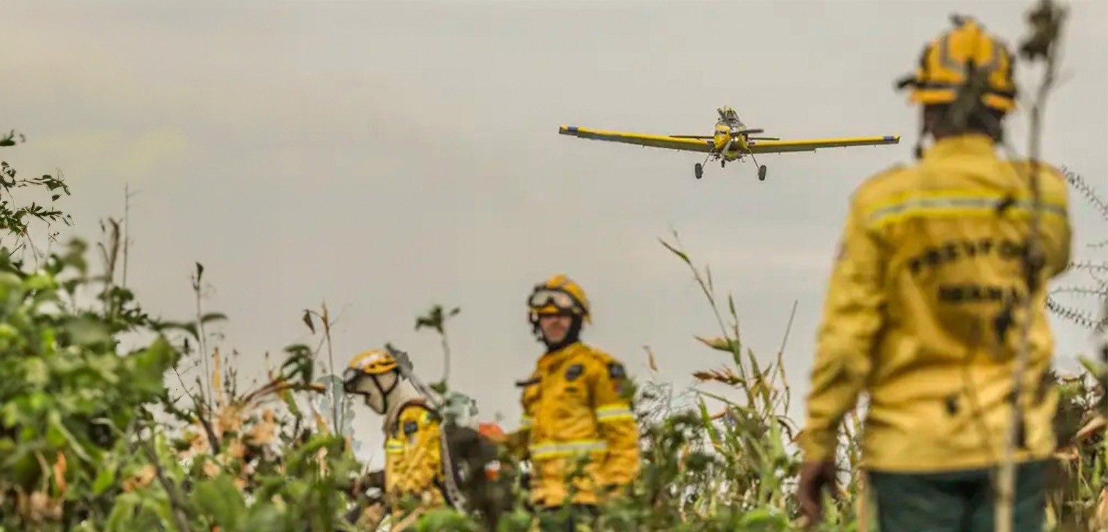MPF recomenda criação de brigada permanente para combater incêndios no Pantanal