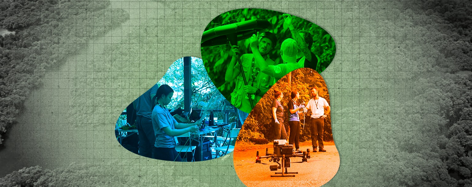 Xprize Rainforest: em Manaus, cientistas disputam final de competição para mapear biodiversidade de florestas