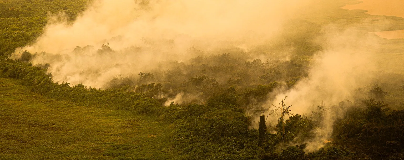 Wildfires in Mato Grosso (Reproduction/Joédson Alves/Agência Brasil)
