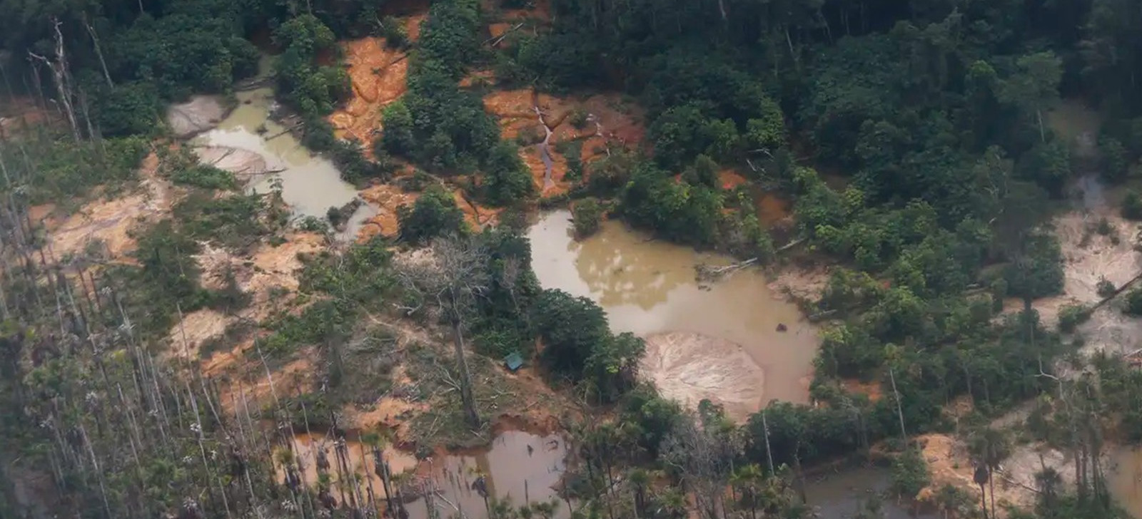 Justiça torna ré empresa Compasso Construções por crimes ambientais