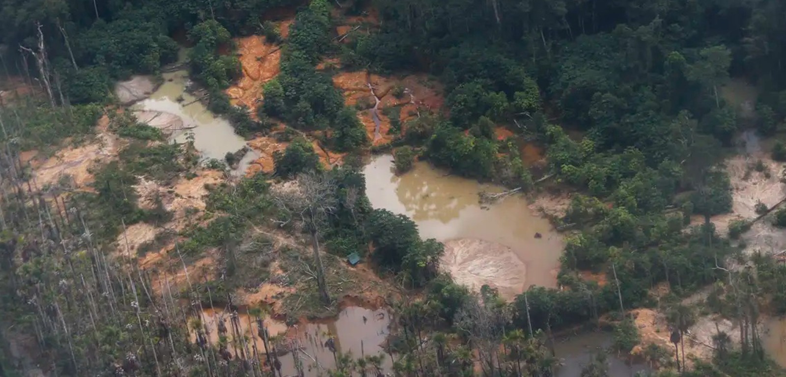 Justiça torna ré empresa Compasso Construções por crimes ambientais