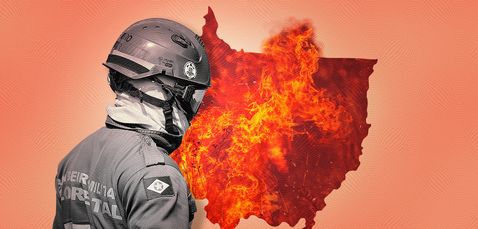 Metade das áreas atingidas pelo fogo no Mato Grosso é do bioma Amazônia