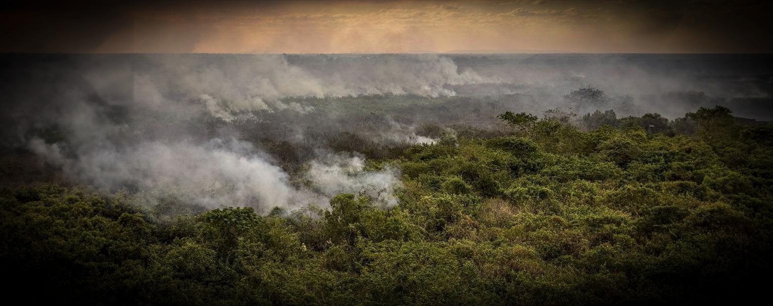Pantanal poderá enfrentar a pior crise hídrica das últimas quatro décadas, diz estudo