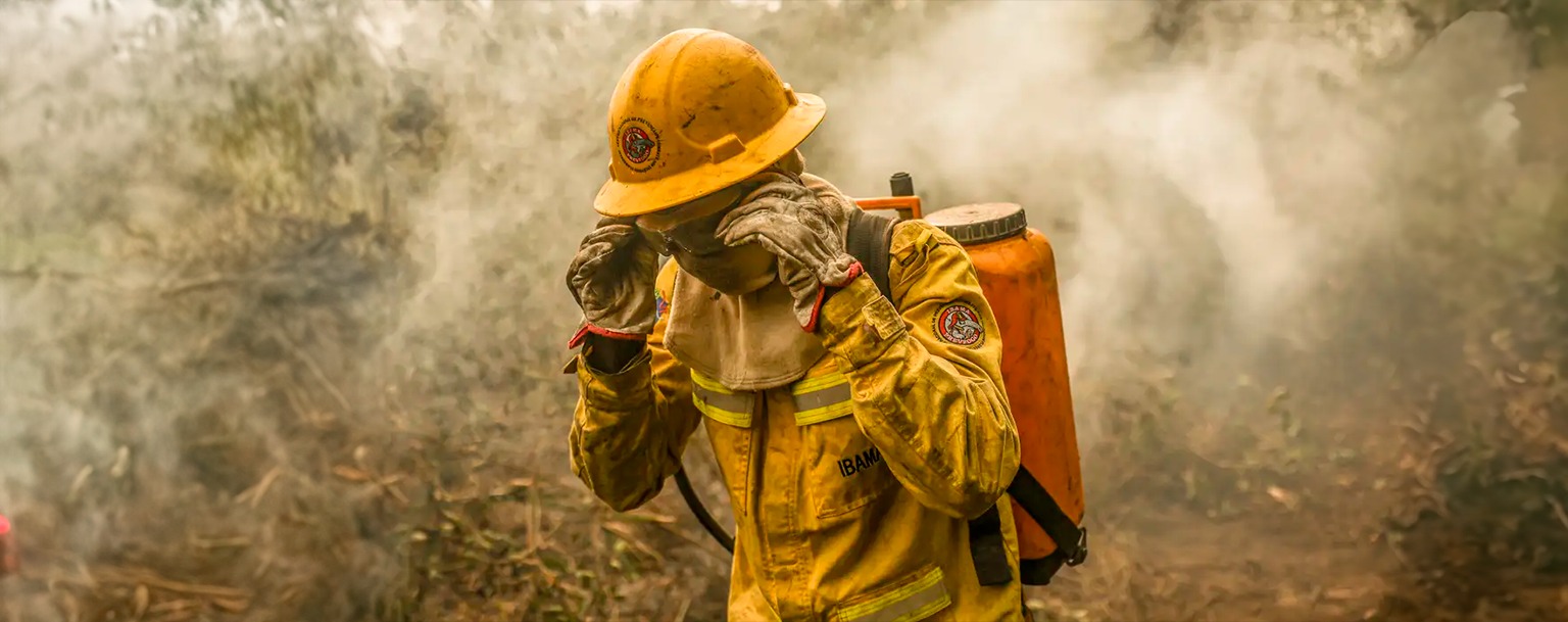 Pantanal alcança 96% de controle e extinção dos incêndios
