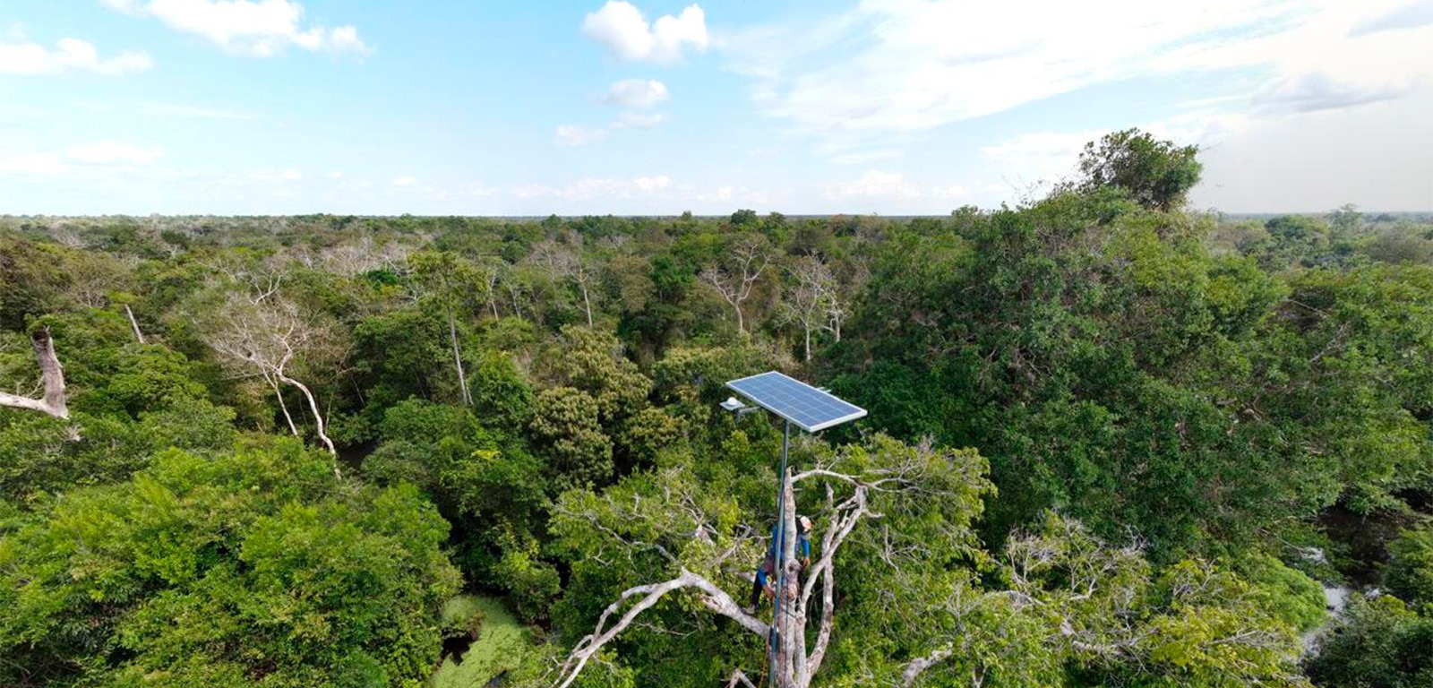 Projeto do Instituto Mamirauá é finalista na competição internacional XPRIZE Rainforest