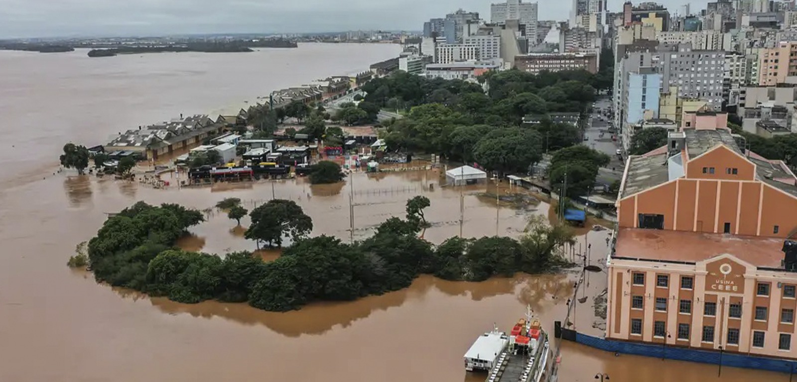 Biólogos atuam para salvar fauna em meio a incêndios registrados no Pantanal