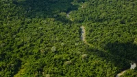 Funai will identify and delimit three indigenous lands in Amazonas