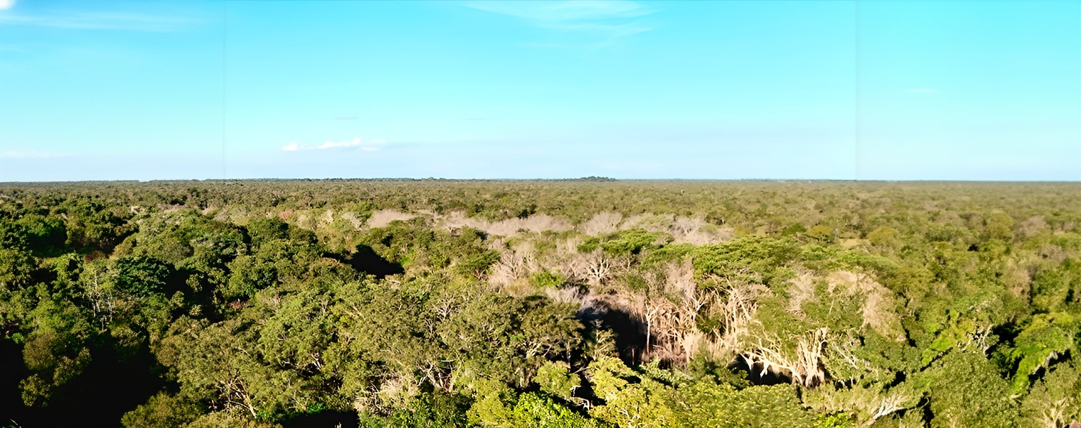 Acordo cria 1.100 hectares de unidades de conservação no Cerrado de Mato Grosso