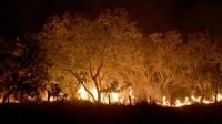 Amazônia vive recorde de incêndios florestais em duas décadas