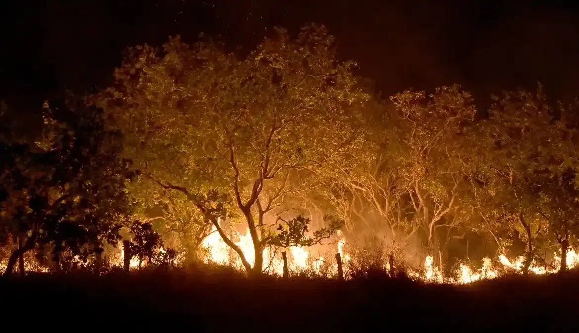 Amazônia vive recorde de incêndios florestais em duas décadas