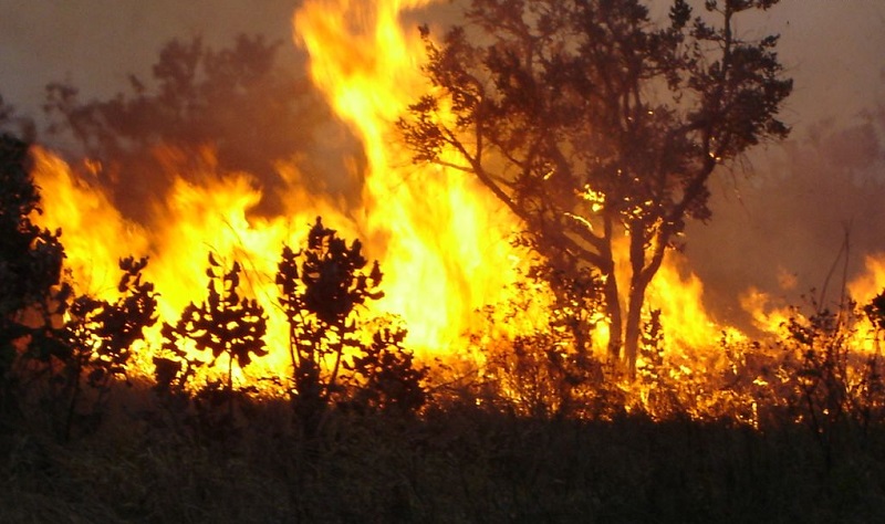 O número é maior do que o registrado um dia antes, quando eram 36 cidades em alerta e 17 com incêndios ativos (Fotos Públicas)