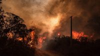 Focos de incêndio em Roraima ficaram acima da média em agosto, alerta governo estadual