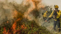 Incêndios no Pantanal elevam casos de problemas respiratórios em comunidades indígenas