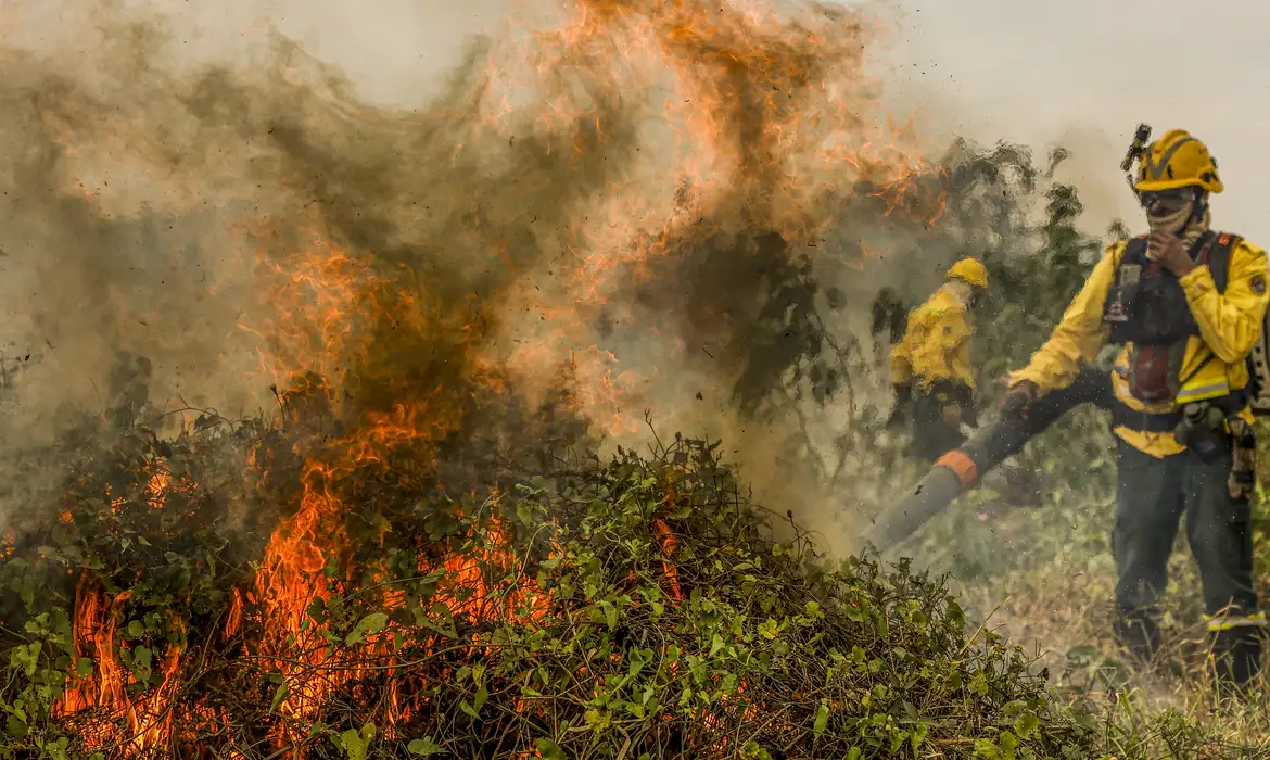 Incêndios no Pantanal elevam casos de problemas respiratórios em comunidades indígenas