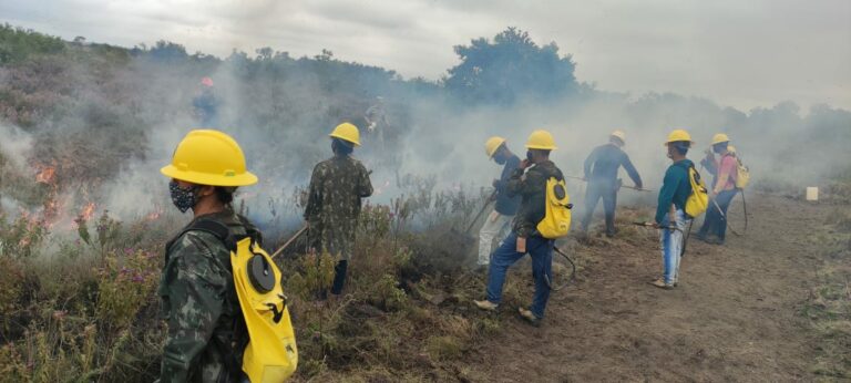 Brigadistas formados para atuação em municípios do sul do Estado do Amazonas (Divulgação)