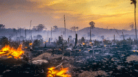 Catástrofe ecológica: Amazônia perde 2,5 milhões de hectares em um único mês