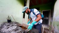 Monitor da dengue no Brasil marca quase cinco mil mortes em 2024