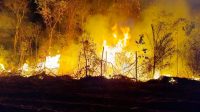 Incêndio atinge Terra Indígena no Pantanal de Mato Grosso