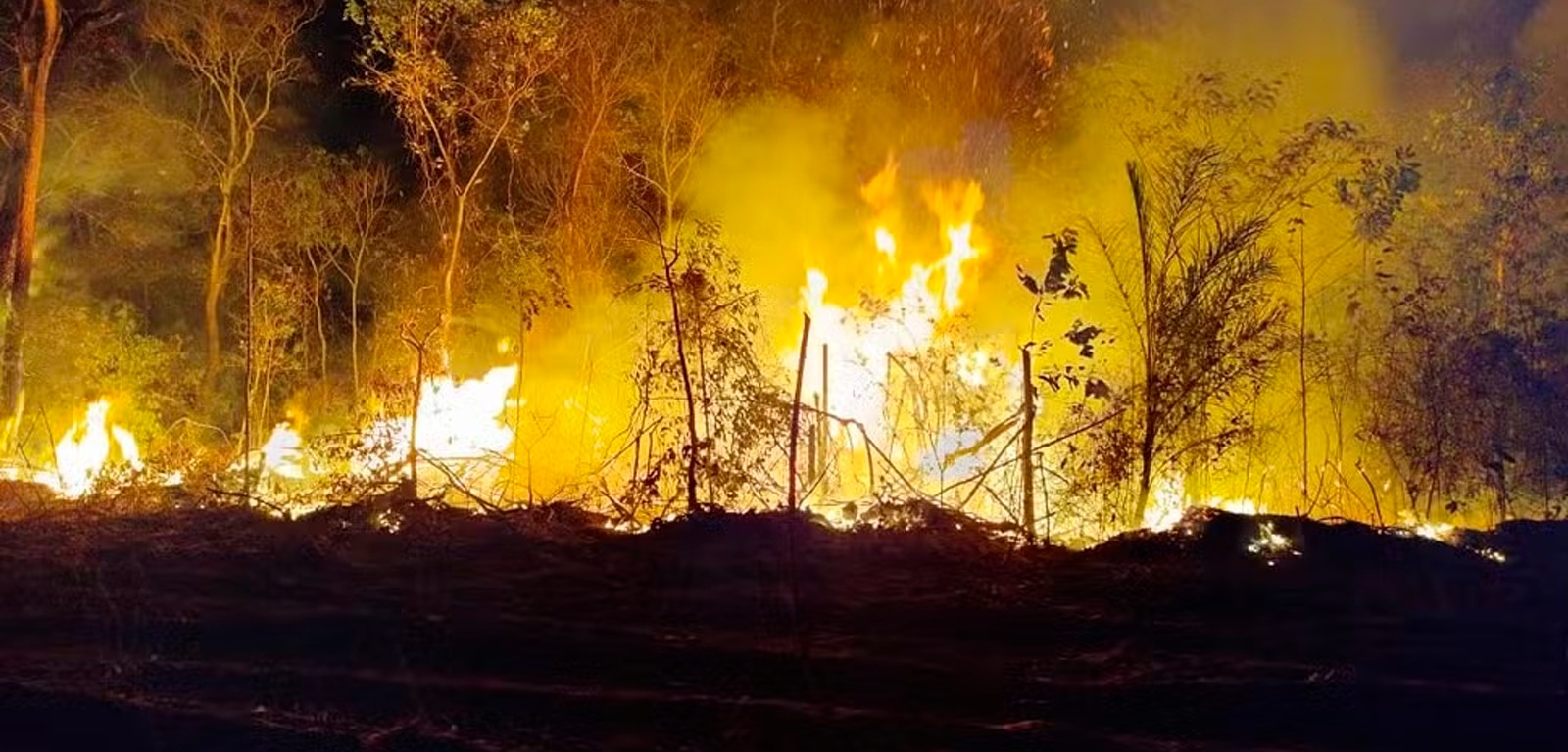 Incêndio atinge Terra Indígena no Pantanal de Mato Grosso