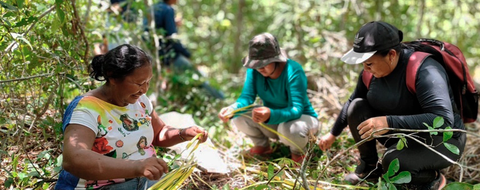 Projeto em MT promove saberes ancestrais e protagonismo de mulheres indígenas