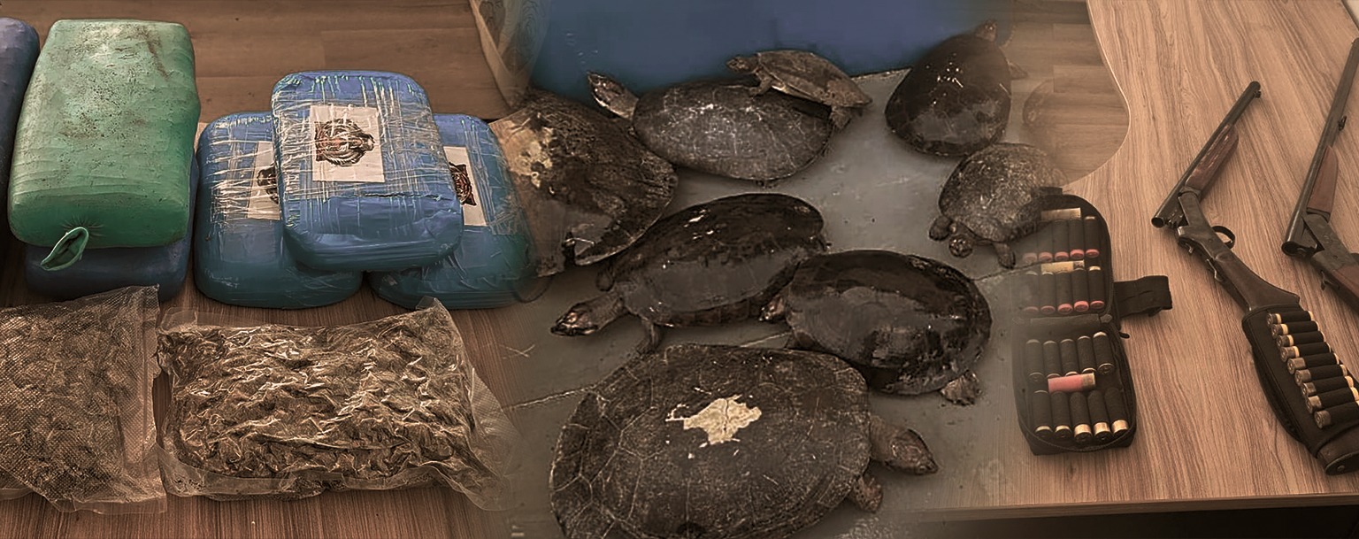 Balsa que saiu de Manaus com destino a Belém é apreendida com drogas, armas e quelônios