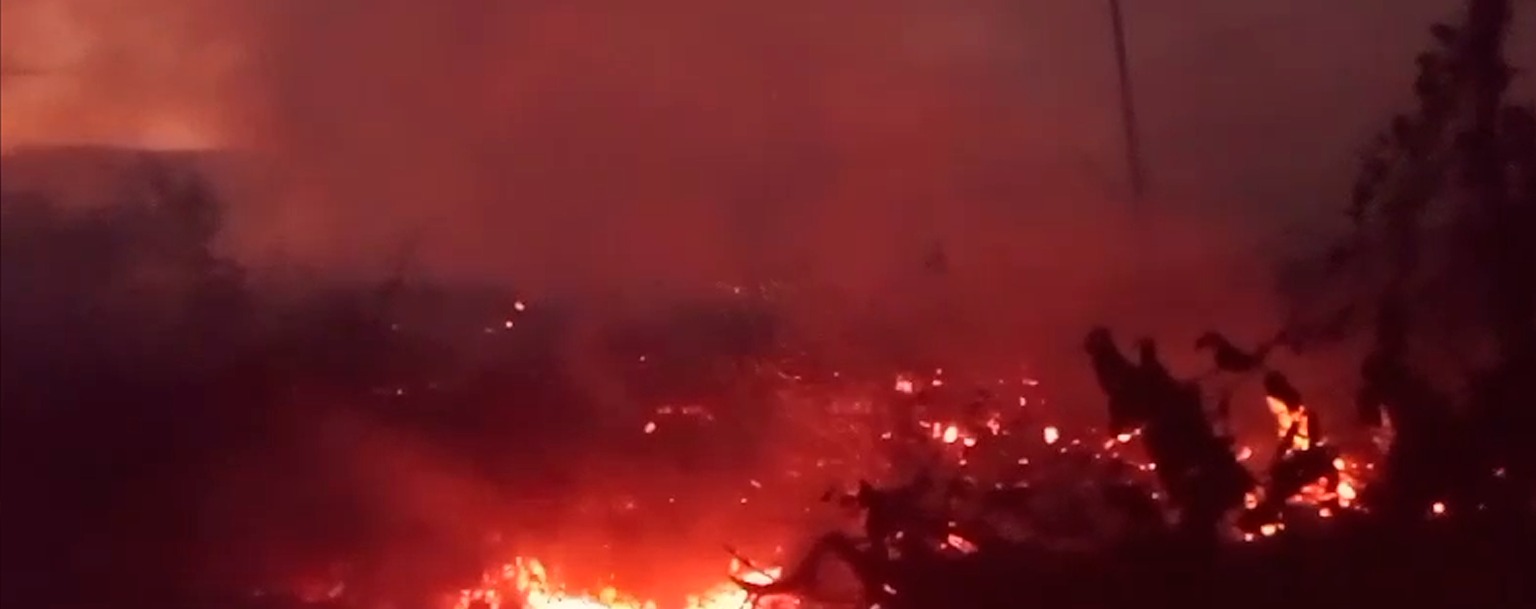 Comunidade do Marajó sofre com incêndio florestal e falhas na ação pública