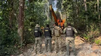Task force targets illegal mining network and environmental crimes in Pará