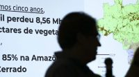 Brasil perdeu 33% das áreas naturais em 39 anos, afirma MapBiomas