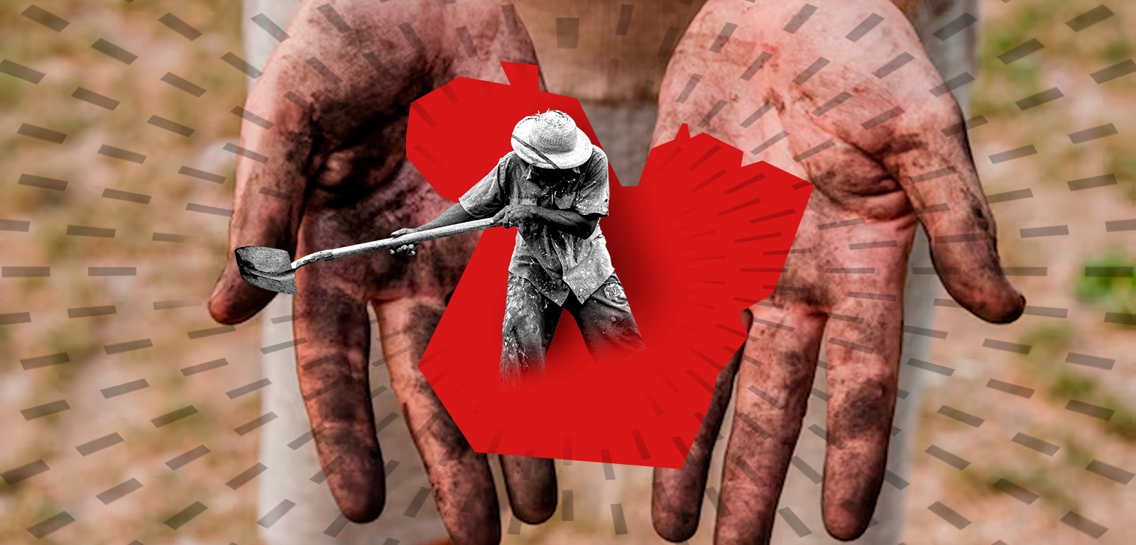 Com nordestinos escravizados no Pará, tráfico de pessoas aumenta na Amazônia