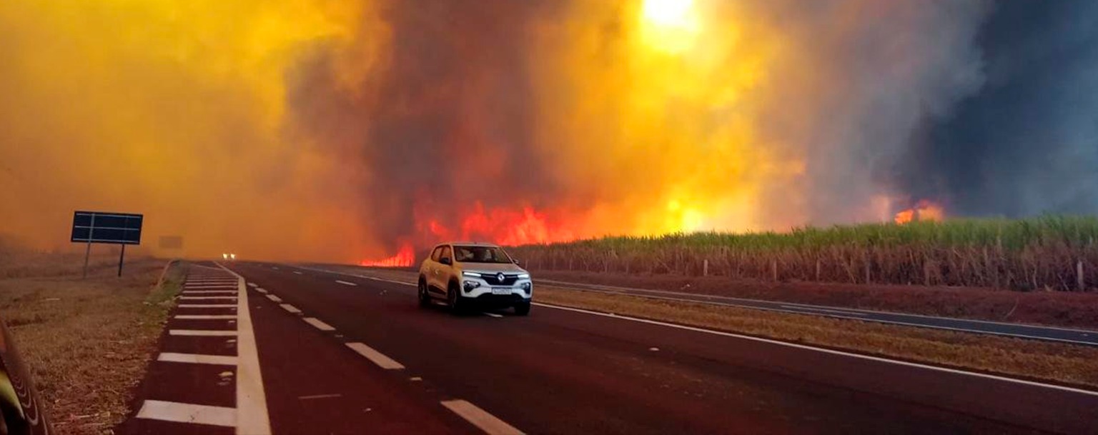 Incêndios florestais (Reprodução) 