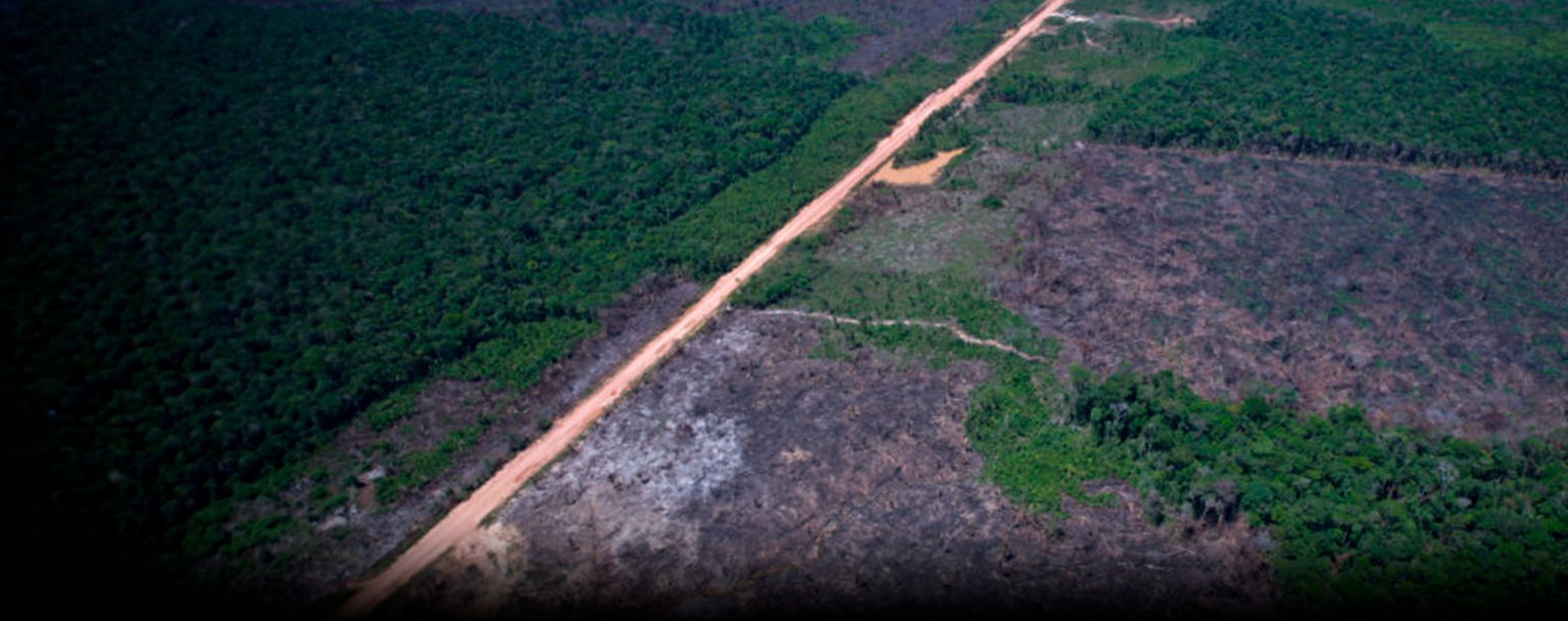 Baseada em evidências, Justiça mantém a suspensão em segunda instância da licença prévia da BR-319