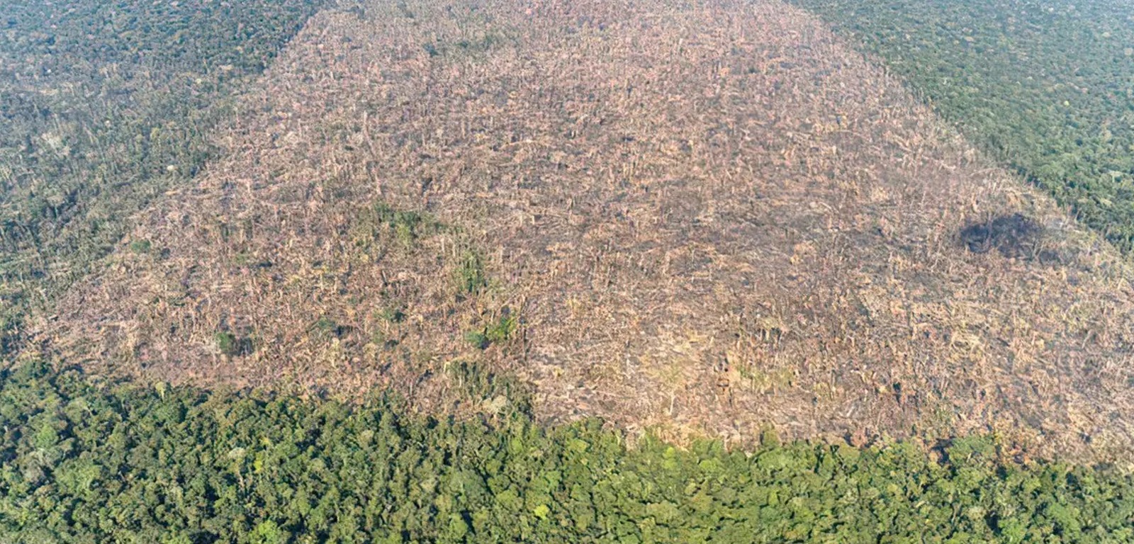 Pesquisador do Imazon aponta AM como novo epicentro do desmatamento