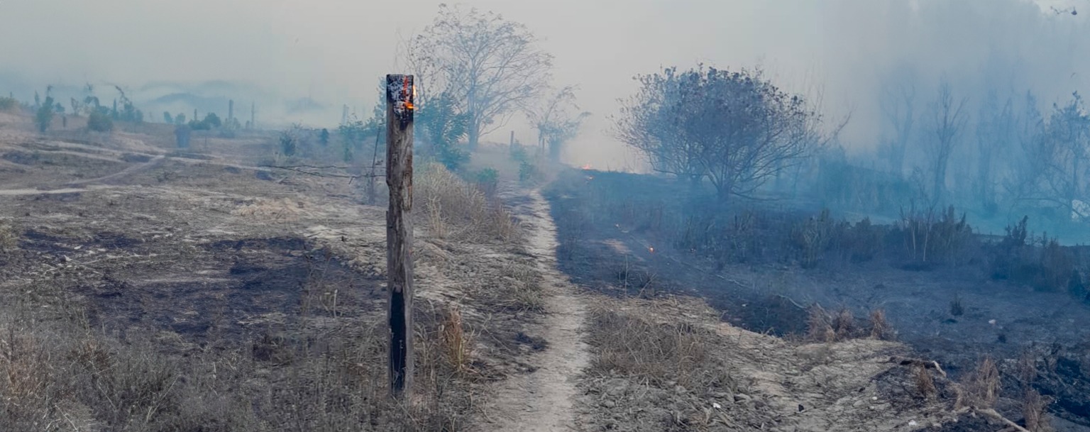 Incêndios florestais afetam indígenas Munduruku e produtores rurais no Pará