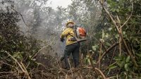Brasil e Bolívia atuarão para combater incêndios na região de fronteira
