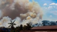Cidades do Pará lideram ranking nacional de focos de incêndio
