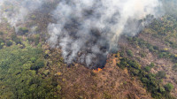 Terras indígenas e grandes fazendas concentram mais da metade da área queimada