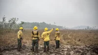 Governo federal libera verba emergencial para combater incêndios florestais