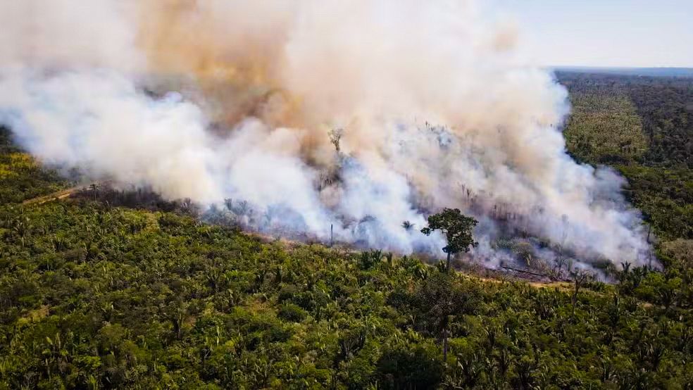 Incêndios atingem Parque Guajará-Mirim e força-tarefa é criada para combater focos