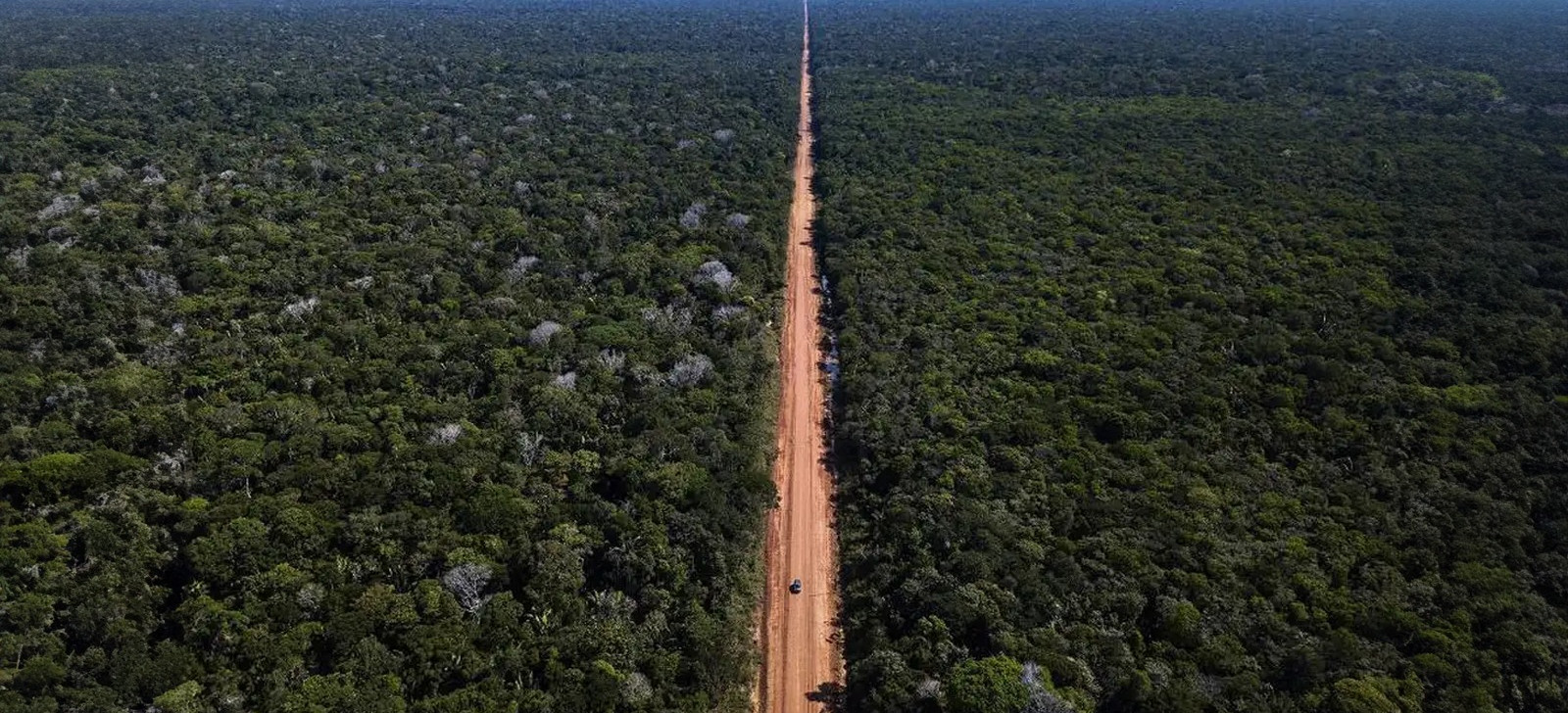 BR-319: Governo cometeu crime contra licenciamento ambiental