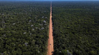 BR-319: Governo cometeu crime contra licenciamento ambiental
