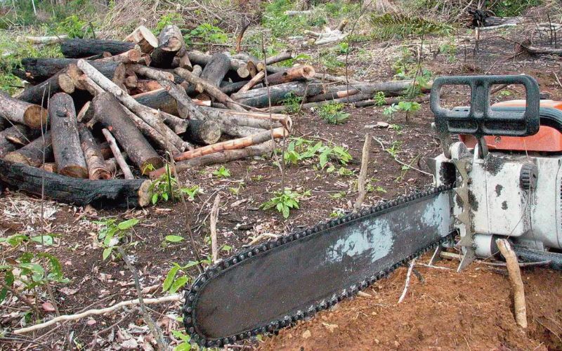 Entre os pagamentos estão a indenização por danos materiais, indenização por danos climáticos e indenização por danos morais coletivos. (Foto: Agência Brasil)