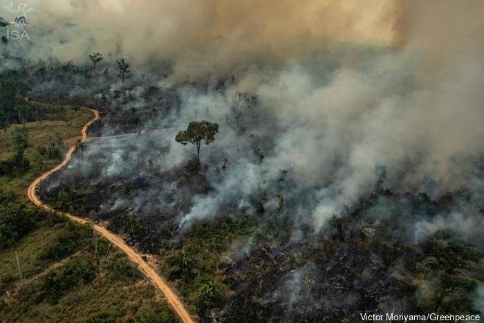 Conselho Indígena de Roraima discute combate a incêndios florestais na Amazônia