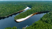 Mineração na Amazônia aumenta mais de 1.000% em 39 anos, revela estudo