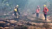 Nos últimos dois meses, Pará lidera registros de incêndios florestais