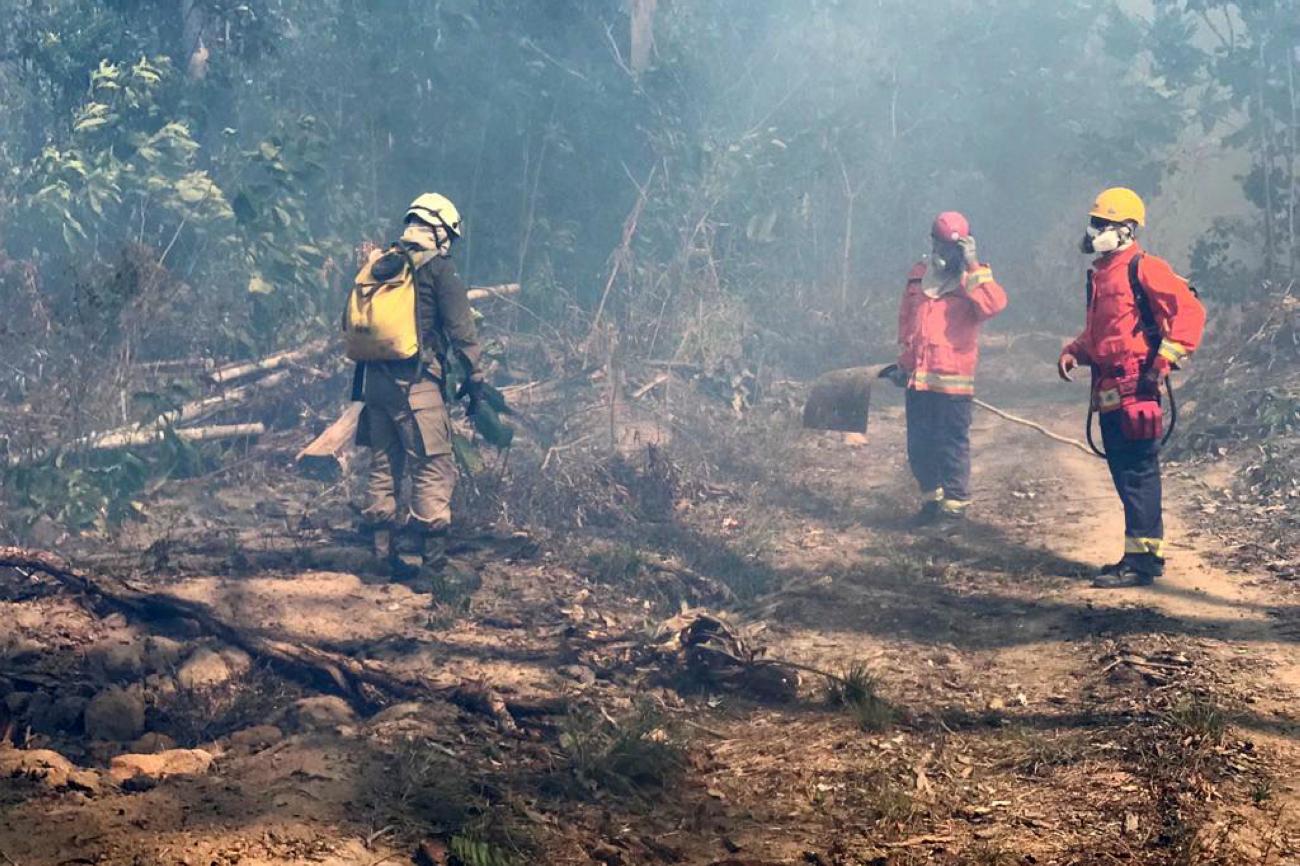 Nos últimos dois meses, Pará lidera registros de incêndios florestais