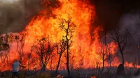 Incêndio de grandes proporções atinge Parque Nacional de Brasília