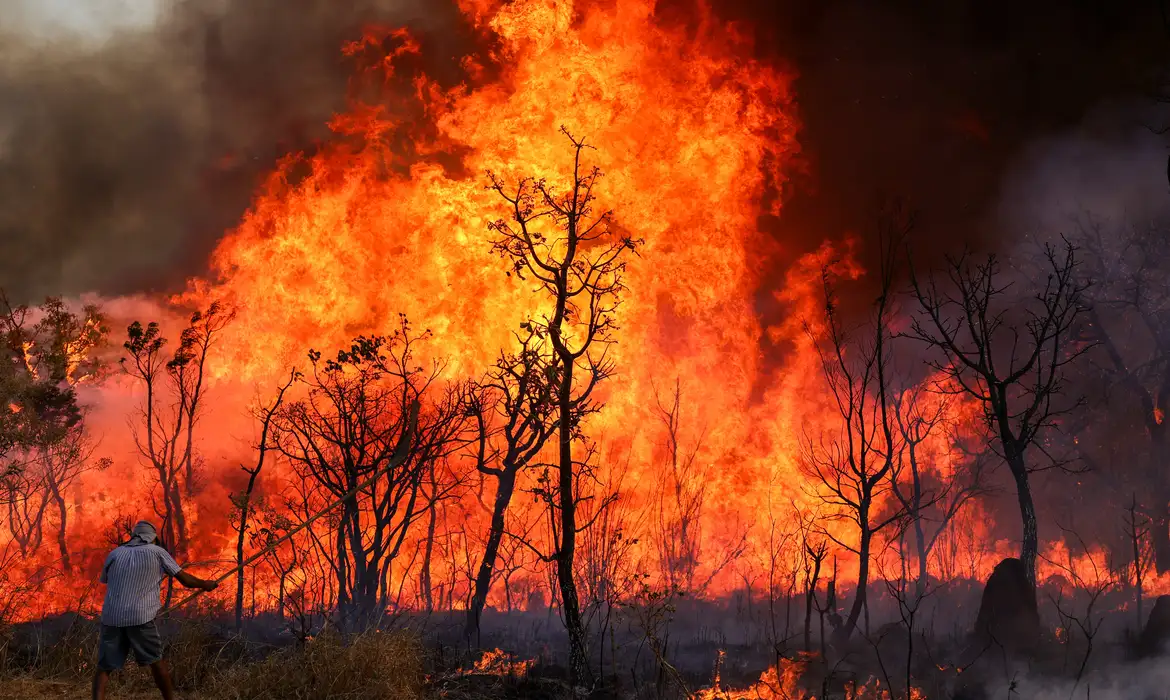 Incêndio de grandes proporções em Brasília (Reprodução/Agência Brasil)