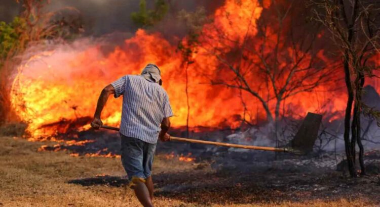 Nos últimos dois meses o Pantanal e a Amazônia são atingidos por focos de incêndios atualmente considerados os maiores das séries históricas. (Foto: Fabio Rodrigues-Pozzebom/Agência Brasil)