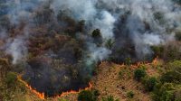 Mancha de fogo de mais de 500 km toma conta da Amazônia