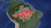 Focos de incêndio na Amazônia atingem maior nível em 14 anos